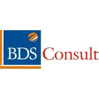 Accounting/Audit Associate at BDS Consult